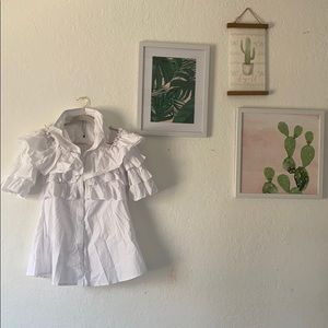 Button down shirt dress